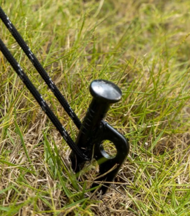 th-11134207-7rasa-m5v3twhrch3x4c@resize_w900_nl